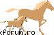 Avocatul poporului o posibila soulutie inextremis?!? - horsegun - Temele nu se afla printre cele propuse